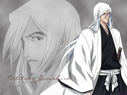Bleach 306