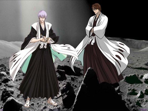 Bleach 406