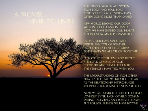 A Promise... Never to Untie