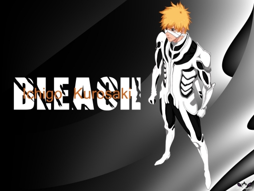 Bleach 556
