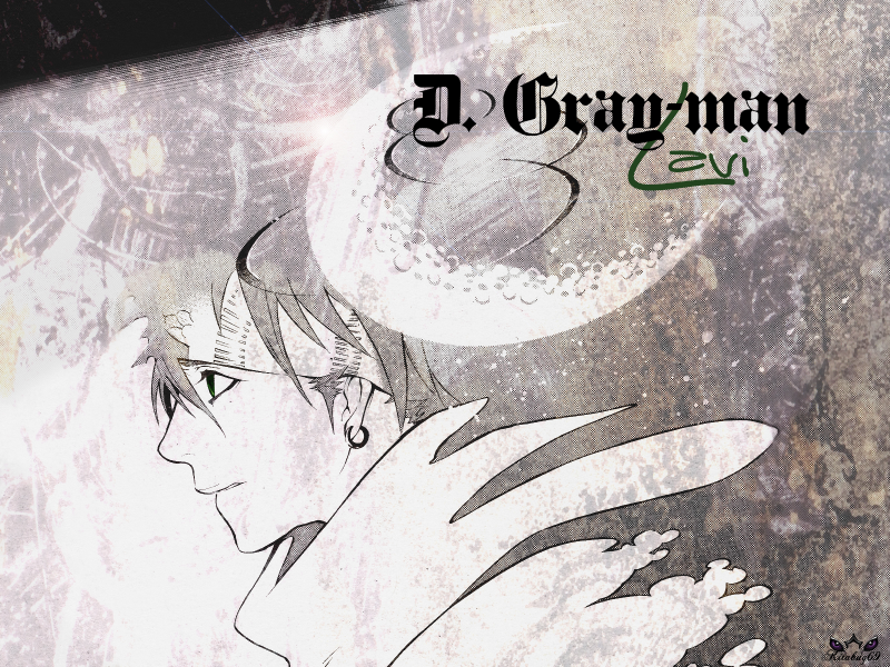 D Gray-man (10)
