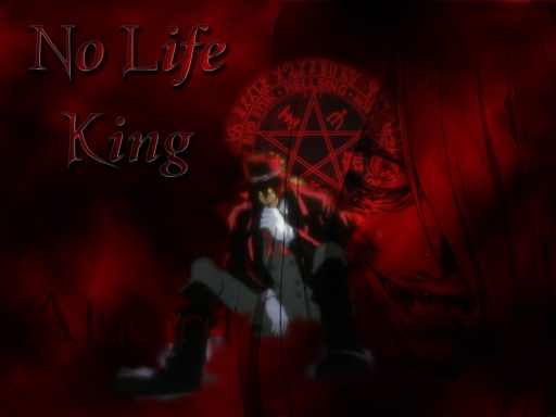 No Life King