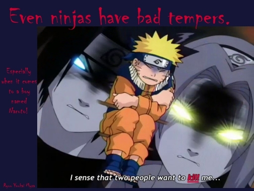 Ninjas With Bad Tempers