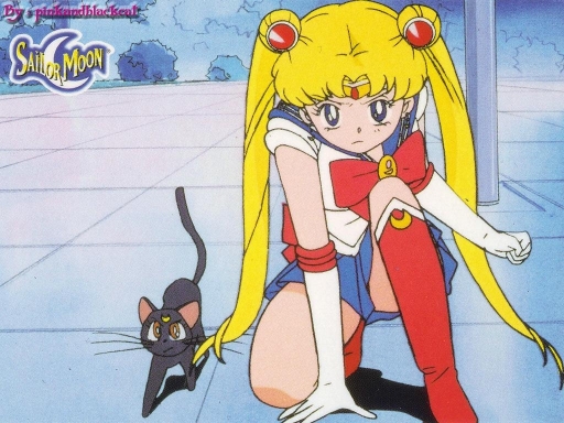 Sailor Moon & Luna