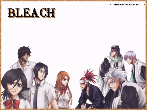 Bleach