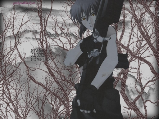 Ghost In The Shell - Sac