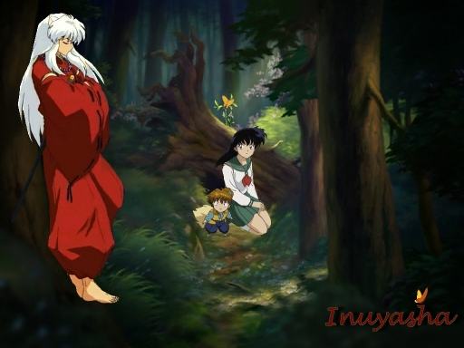 Inuyasha Day In Forest