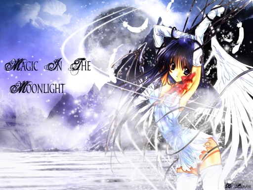 Magic In The Moonlight