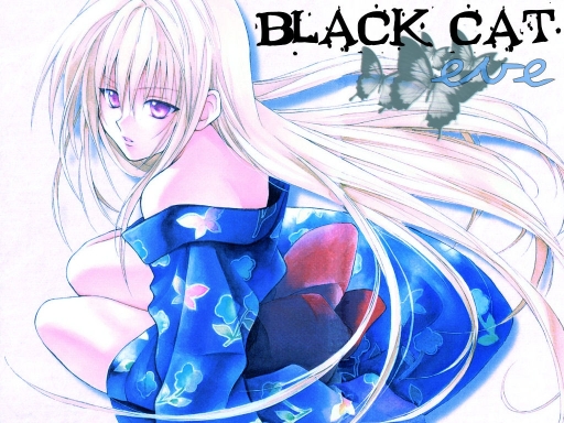 Black Cat Eve