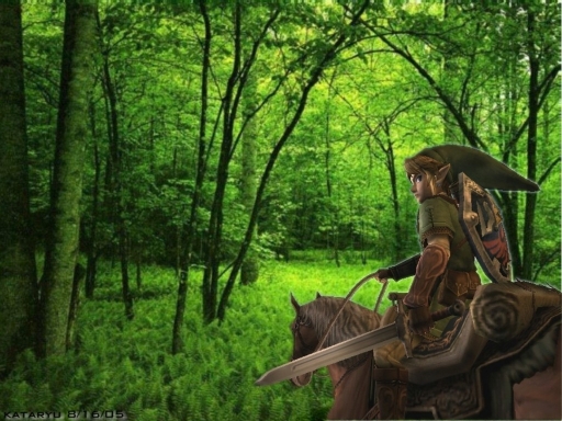 Link: Elven Warrior