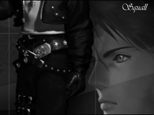 Final Fantasy Viii / Squall