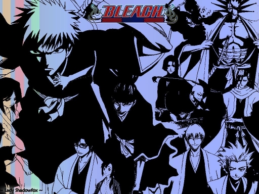 Bleach- The 1 And Only.