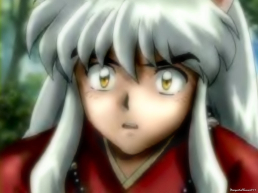 Inuyasha Looks Soo Confused