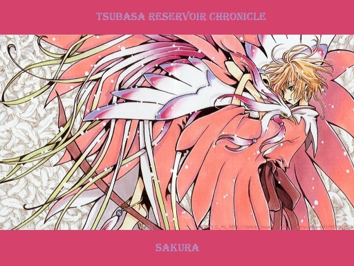 Sakura_rose