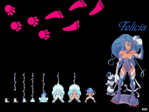 Darkstalkers:  Felicia 2