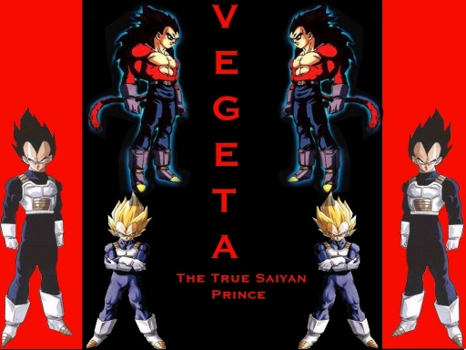 Vegeta The True Saiyan Prince