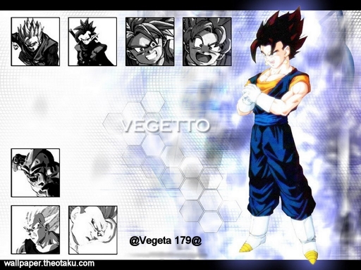 Vegetto