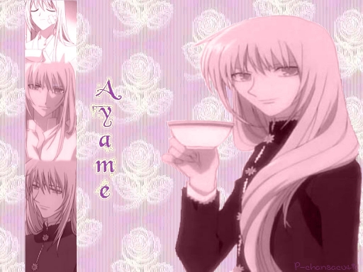 Ayame & Roses