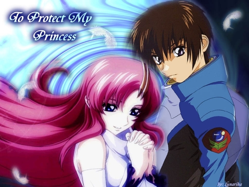 To Protect My Princess