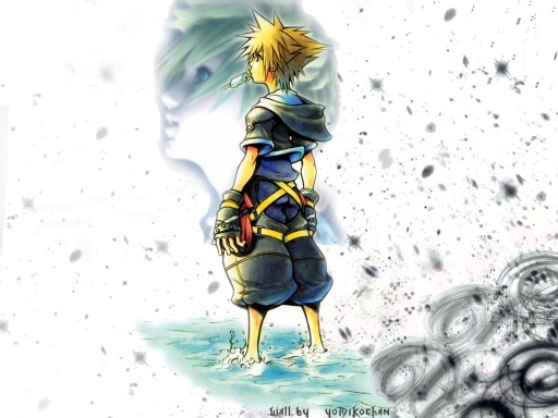 Sora And Roxas From Kingdom He