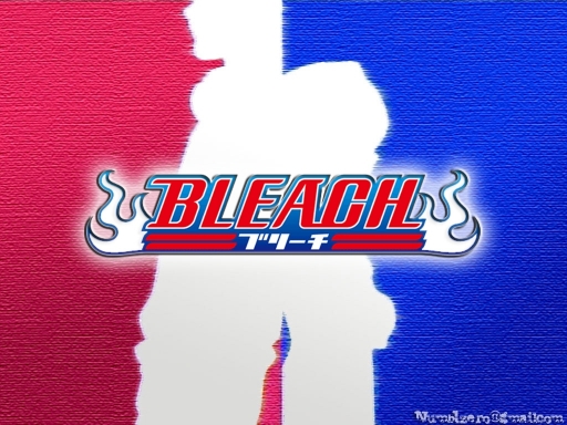 Bleach Profile