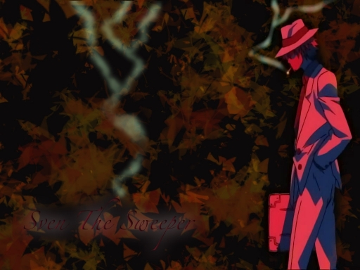 Sven The Sweeper - Black Cat