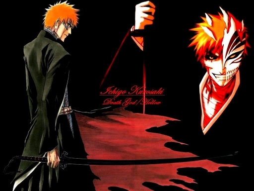Ichigo Bankai/hollow