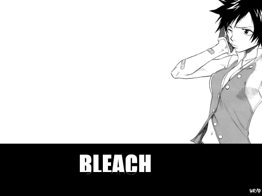 Bleach
