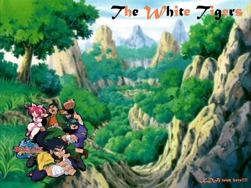 The White Tiger Team