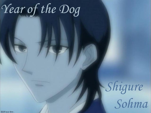 Shigure Sohma