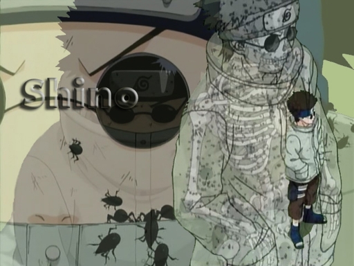 Shino