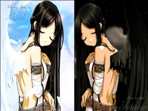 Light And Shadow Harmony