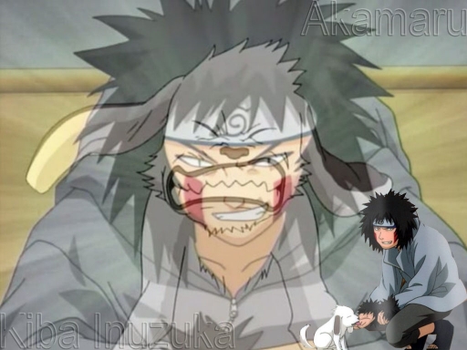 Kiba Inuzuka, And Akamaru