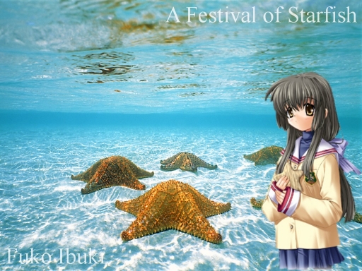 A Festival Of Starfish