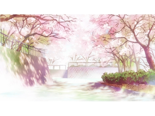 Beneath the Cherry Blossoms
