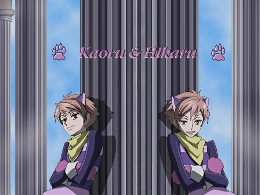 Ouran Cats