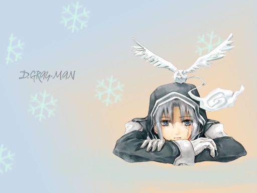 D Gray Man