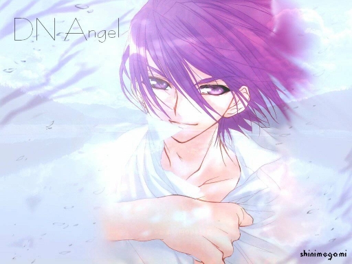 DN Angel