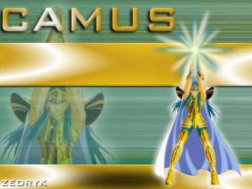 Gold Camus