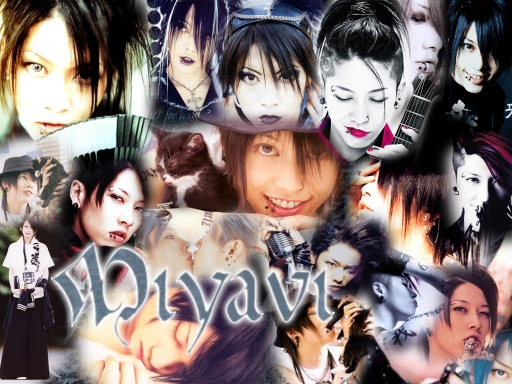 Never too much Miyavi