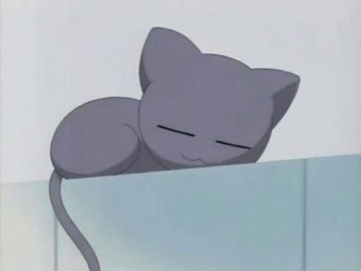 Kamineko Sleep