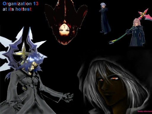 Organization 13 At It's Hottes