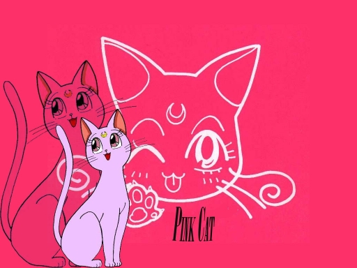 Pink Kitty
