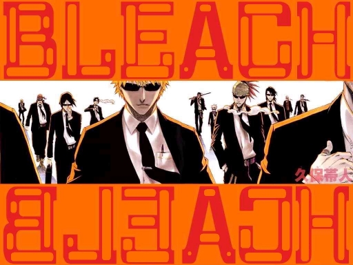 Bleach