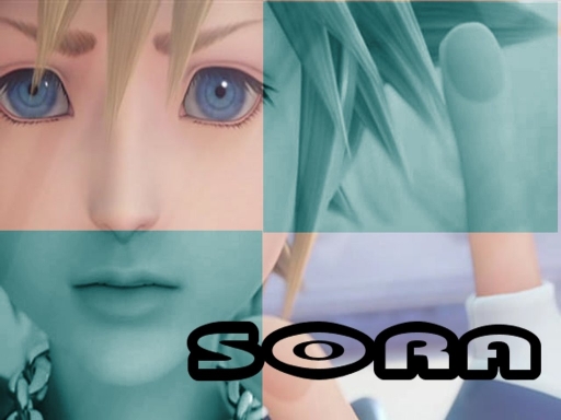 Mysora2