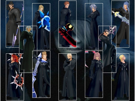 Organization Xiii
