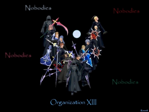 Organization Xiii