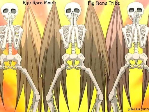 Fly Bone