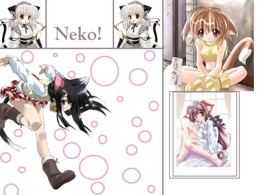 Neko!
