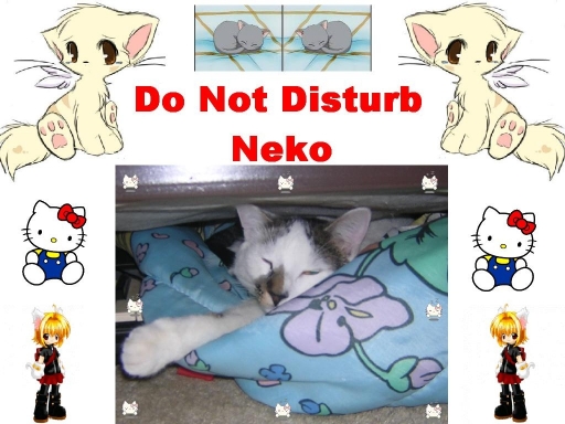 Do Not Disturb The Kitties!!!